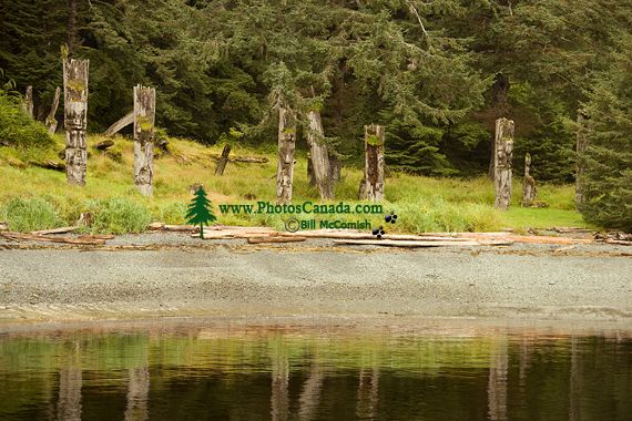 Ninstints Haida Village Remains, Anthony Island, Sgang Gwaay, UNESCO World Heritage Site, Gwaii Haanas National Park Reserve, Haida Gwaii, British Columbia, Canada CM11-02