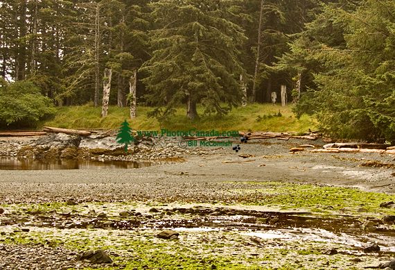 Ninstints Haida Village Remains, Anthony Island, Sgang Gwaay, UNESCO World Heritage Site, Gwaii Haanas National Park Reserve,  Haida Gwaii, British Columbia, Canada CM11-07