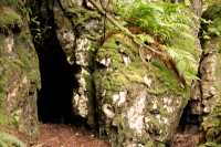 Ninstints Burial Cave, Sgang Gwaay, UNESCO World Heritage Site, Gwaii Haanas National Park Reserve, Haida Gwaii, British Columbia, Canada CM11-11