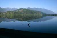 Anutz Lake, Vancouver Island CM11-006