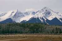 Hudson Bay Mountain, Smithers, British Columbia, Canada, CM11-12 