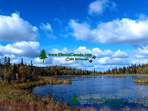Ingraham Trail, Northwest Territories, Canada 16