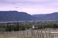 Okanagan Wine Region, British Columbia, Canada CM11-001
