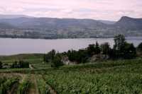 Penticton, Wine Region, British Columbia, Canada CM11-013