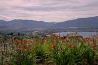 Penticton, Wine Region, British Columbia, Canada CM11-014
