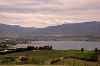 Penticton, Wine Region, British Columbia, Canada CM11-015