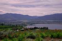 Penticton, Wine Region, British Columbia, Canada CM11-016