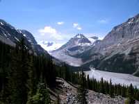 Peyto Glacier, Icefields Parkway, Banff National Park, Alberta, Canada CM11-03