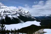 Peyto Lake, Spring 2009,  Icefields Parkway, Banff National Park, Alberta, Canada CM11-05