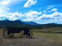 Old Farm Wagon, Southern Alberta, Canada 03