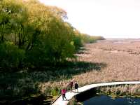 Point Pelee National Park, Ontario, Canada 07
