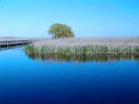 Point Pelee National Park, Ontario, Canada 05