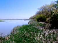 Point Pelee National Park, Ontario, Canada 04