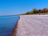 Point Pelee National Park, Ontario, Canada 02