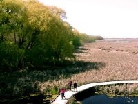 Point Pelee National Park 05