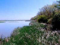 Point Pelee National Park 08