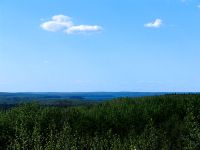 Boreal Forest, Prince Albert National Park, Saskatchewan, Canada   05