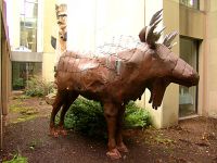 A Moose in the Charlottetown Library Courtyard, Prince Edward Island, Canada 07