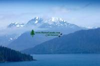 Highlight for Album: Rennell Sound Photos, Queen Charlotte Islands, Haida Gwaii, British Columbia Stock Photos