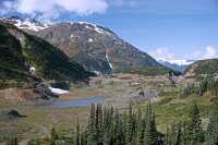 Salmon Glacier, Road Views, British Columbia, Canada CM11-09
