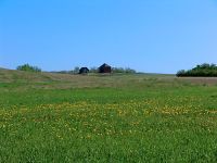 Prairie Farm 18