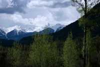 South East Kootenay Region, British Columbia, Canada CM11-012