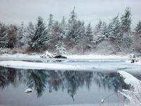 Squamish Estuary, British Columbia, Canada  01
