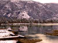 Squamish Estuary, British Columbia, Canada  08
         
