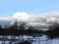 Squamish Estuary, British Columbia, Canada  04