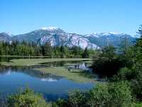 Squamish Estuary, British Columbia, Canada 09