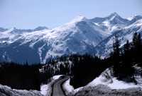 Along Cassiar Highway 2009, Northern British Columbia, Canada CM11-06