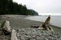 Sombro Beach, Vancouver Island CM11-002