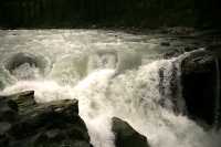 Sunwapta Falls, Icefields Parkway, Jasper National Park, Canada CM11-03