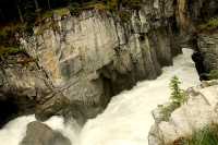 Sunwapta Falls, Icefields Parkway, Jasper National Park, Canada CM11-01