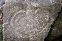 Thorsen Creek Petroglyphs, Bella Coola, British Columbia CM11-002