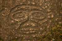Thorsen Creek Petroglyphs, Bella Coola, British Columbia CM11-004