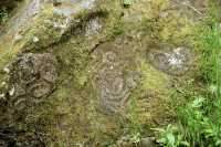 Thorsen Creek Petroglyphs, Bella Coola, British Columbia CM11-009