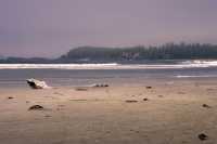Chesterman Beach, Tofino, Pacific Ocean, British Columbia, Canada CM11-20