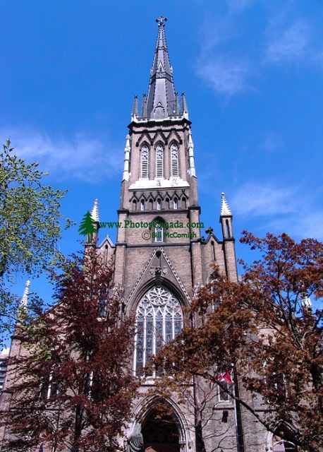 St. Michael's Cathedral, Toronto, Ontario, Canada 23
(image not for sale)