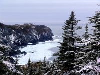 Twillingate, Atlantic Coast, Newfoundland, Canada 01
