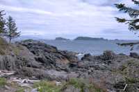Wild Pacific Trail, Ucluelet, Vancouver Island CM11-010
