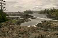 Wild Pacific Trail, Ucluelet, Vancouver Island CM11-013
