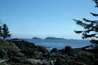 Wild Pacific Trail, Ucluelet, Vancouver Island CM11-001