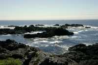 Wild Pacific Trail, Ucluelet, Vancouver Island CM11-003