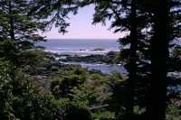 Wild Pacific Trail, Ucluelet, Vancouver Island CM11-005