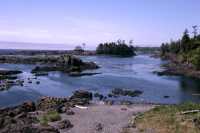 Wild Pacific Trail, Ucluelet, Vancouver Island CM11-007