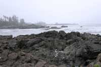 Wild Pacific Trail, Ucluelet, Vancouver Island CM11-008