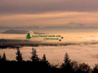 Highlight for Album: Vancouver In Fog, British Columbia Stock Photos