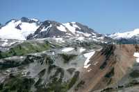 Whistler Alpine, British Columbia, Canada, CM11-15