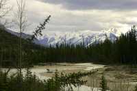 Yoho National Park, British Columbia, Canada CM11-22